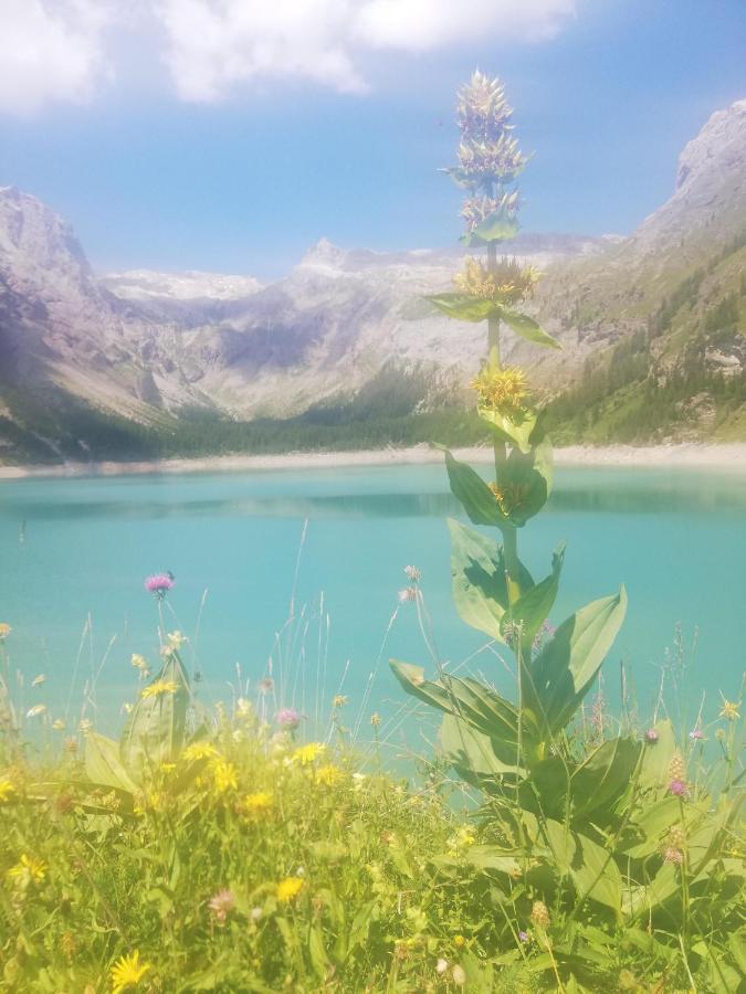 Chambres D'Hotes Pres De Verbier Volleges Kültér fotó